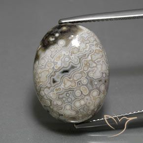 18.17ct Naturel Multicolore Jaspe, ovale, Opaque