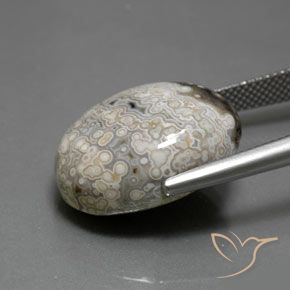 Jaspe Multicolore naturelle ovale, 18.17 ct, Opaque