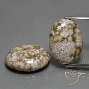 25.62ctw Naturel Multicolore Jaspe, ovale, Opaque