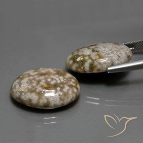 Shop natural 25.62ct Multicolore Jaspe gems, ovale, from Indonésie at GemSelect. In stock, global shipping!