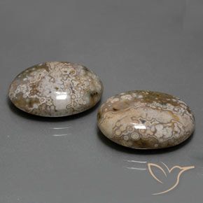Shop natural 25.60ct Multicolore Jaspe gems, ovale, from Indonésie at GemSelect. In stock, global shipping!