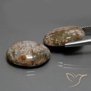Shop natural 25.60ct Multicolore Jaspe gems, ovale, from Indonésie at GemSelect. In stock, global shipping!