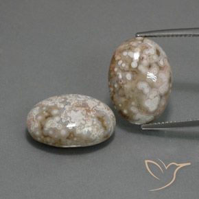 21.62ctw Naturel Multicolore Jaspe, ovale, Opaque