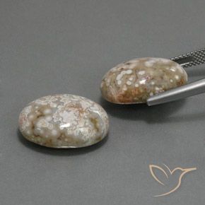 Shop natural 21.62ct Multicolore Jaspe gems, ovale, from Indonésie at GemSelect. In stock, global shipping!