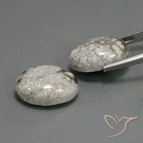Shop natural 23.48ct Multicolore Jaspe gems, ovale, from Indonésie at GemSelect. In stock, global shipping!