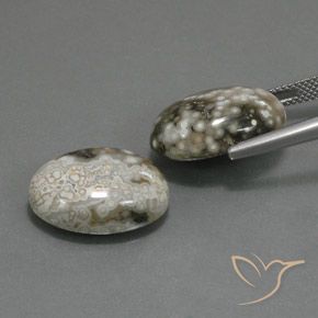 Shop natural 22.45ct Multicolore Jaspe gems, ovale, from Indonésie at GemSelect. In stock, global shipping!