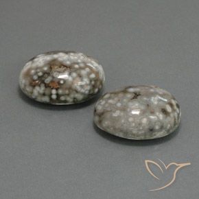 Shop natural 25.02ct Multicolore Jaspe gems, ovale, from Indonésie at GemSelect. In stock, global shipping!