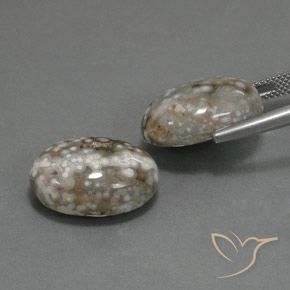 Shop natural 25.02ct Multicolore Jaspe gems, ovale, from Indonésie at GemSelect. In stock, global shipping!