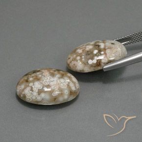 Shop natural 19.64ct Multicolore Jaspe gems, ovale, from Indonésie at GemSelect. In stock, global shipping!