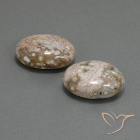 Shop natural 21.58ct Multicolore Jaspe gems, ovale, from Indonésie at GemSelect. In stock, global shipping!