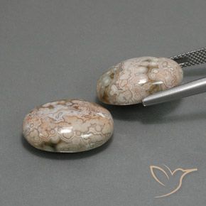 Shop natural 21.58ct Multicolore Jaspe gems, ovale, from Indonésie at GemSelect. In stock, global shipping!