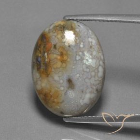 13.45ct Naturel Multicolore Jaspe, ovale, Opaque
