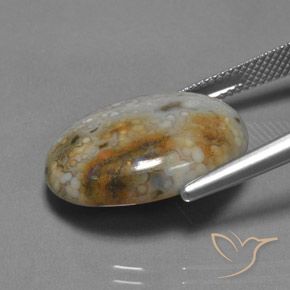 Jaspe Multicolore naturelle ovale, 13.45 ct, Opaque