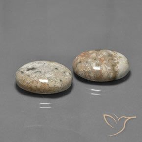 Shop natural 27.89ct Multicolore Jaspe gems, ovale, from Indonésie at GemSelect. In stock, global shipping!