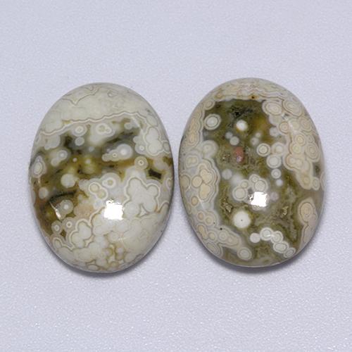 Achetez naturel 21,70ct multicolore jaspe gems, coupe ovale, en provenance indonésie chez gemselect. en stock, livraison internationale!