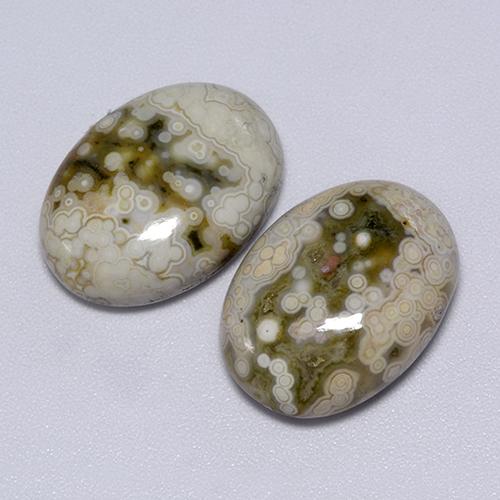 Achetez naturel 21,70ct multicolore jaspe gems, coupe ovale, en provenance indonésie chez gemselect. en stock, livraison internationale!
