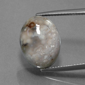 Jaspe Multicolore naturelle Coupe ovale, 9.84 ct, Opaque