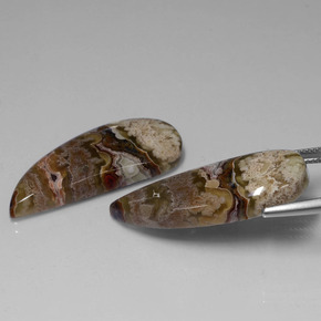 Achetez naturel ct multicolore jaspe gems, forme fantaisie, en provenance indonésie chez gemselect. en stock, livraison internationale!