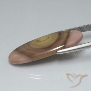 Jaspe Multicolore naturelle ovale, 17.33 ct, Opaque