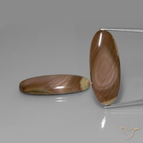 39.05ctw Naturel Multicolore Jaspe, ovale, Opaque
