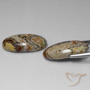 Shop natural 29.46ct Multicolore Jaspe gems, ovale, from Indonésie at GemSelect. In stock, global shipping!