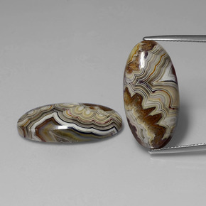Achetez naturel ct multicolore jaspe gems, coupe ovale, en provenance indonésie chez gemselect. en stock, livraison internationale!