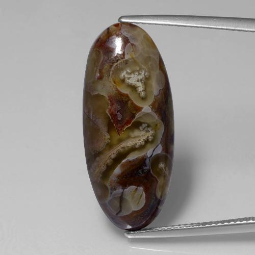 Jaspe Multicolore naturelle Coupe ovale, 13.46 ct, Opaque