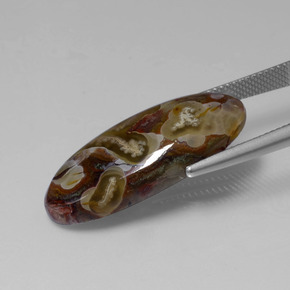 Jaspe Multicolore naturelle Coupe ovale, 13.46 ct, Opaque