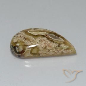Jaspe Multicolore naturelle Fantaisie, 11.24 ct, Opaque