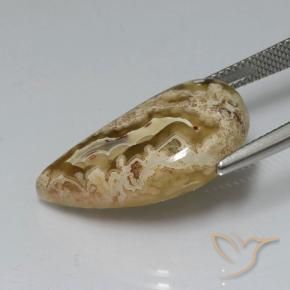 Jaspe Multicolore naturelle Fantaisie, 11.24 ct, Opaque