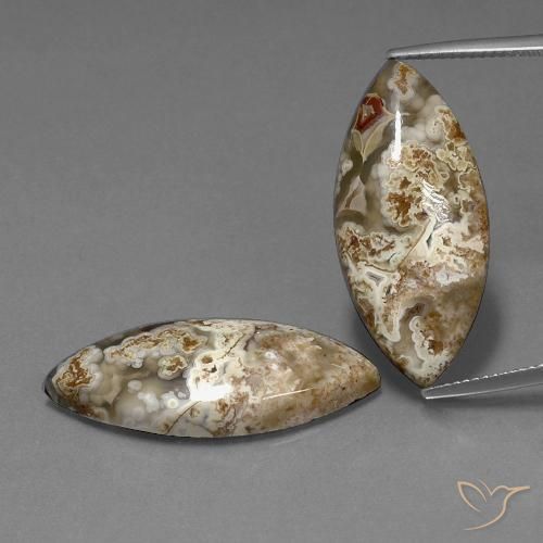 25.56ctw Naturel Multicolore Jaspe, Marquise, Opaque