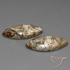 Shop natural 25.56ct Multicolore Jaspe gems, Marquise, from Indonésie at GemSelect. In stock, global shipping!