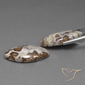 Shop natural 24.92ct Multicolore Jaspe gems, Marquise, from Indonésie at GemSelect. In stock, global shipping!