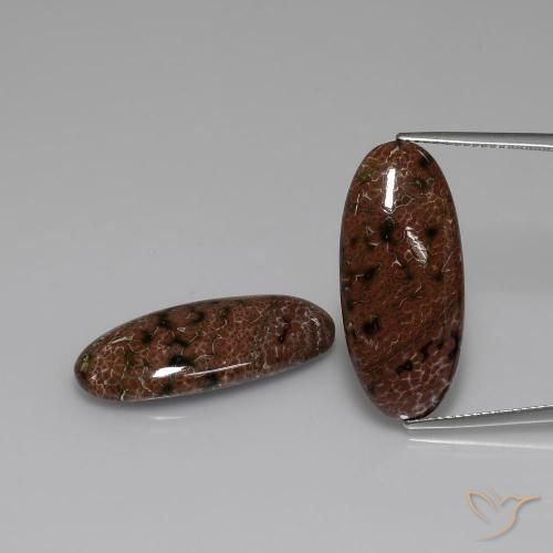 23.31ctw Naturel Multicolore Jaspe, ovale, Opaque