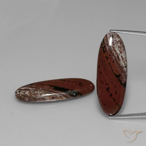 27.70ctw Naturel Multicolore Jaspe, ovale, Opaque