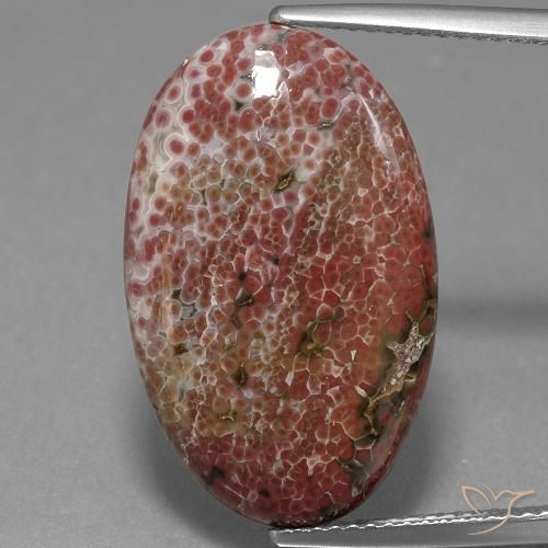 11.71ct Naturel Multicolore Jaspe, ovale, Opaque