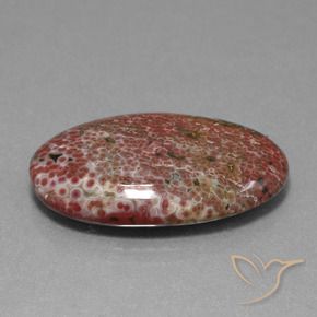 Jaspe Multicolore naturelle ovale, 11.71 ct, Opaque