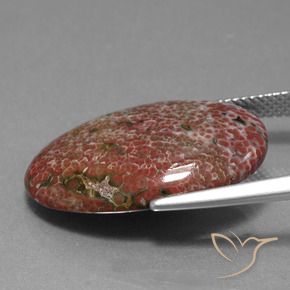 Jaspe Multicolore naturelle ovale, 11.71 ct, Opaque