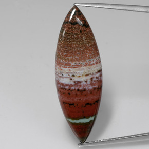 Jaspe multicolore naturelle marquise, 13,09 ct, opaque