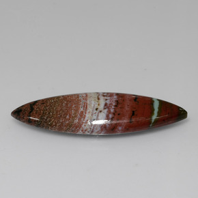 Jaspe multicolore naturelle marquise, 13,09 ct, opaque