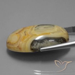 Jaspe Multicolore naturelle ovale, 60.57 ct, Opaque