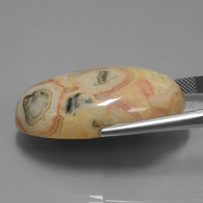 Jaspe Multicolore naturelle Coupe ovale, 62.14 ct, Opaque