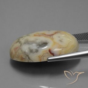 Jaspe Multicolore naturelle ovale, 44.14 ct, Opaque
