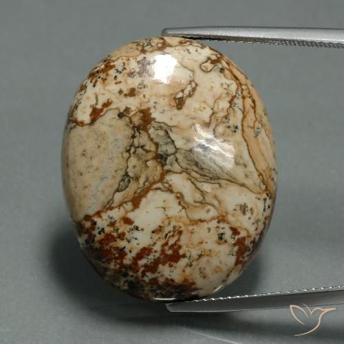 30.15ct Naturel Multicolore Jaspe, ovale, Opaque