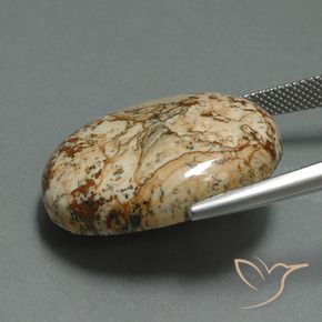 Jaspe Multicolore naturelle ovale, 30.15 ct, Opaque