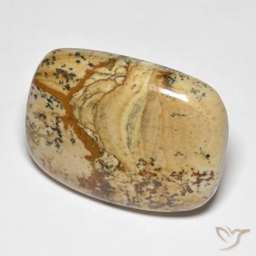 Jaspe Multicolore naturelle Coussin, 42.91 ct, Opaque