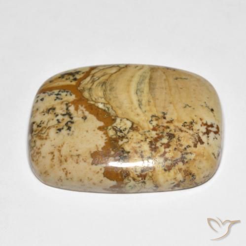 Jaspe Multicolore naturelle Coussin, 42.91 ct, Opaque