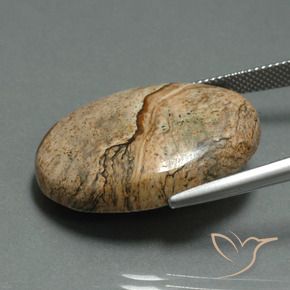 Jaspe Multicolore naturelle ovale, 30.17 ct, Opaque