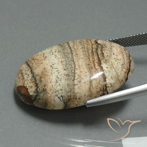 Jaspe Multicolore naturelle ovale, 40.60 ct, Opaque