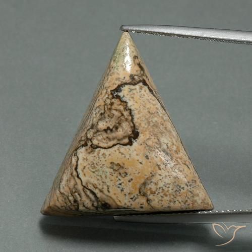 24.08ct Naturel Multicolore Jaspe, Trillion, Opaque